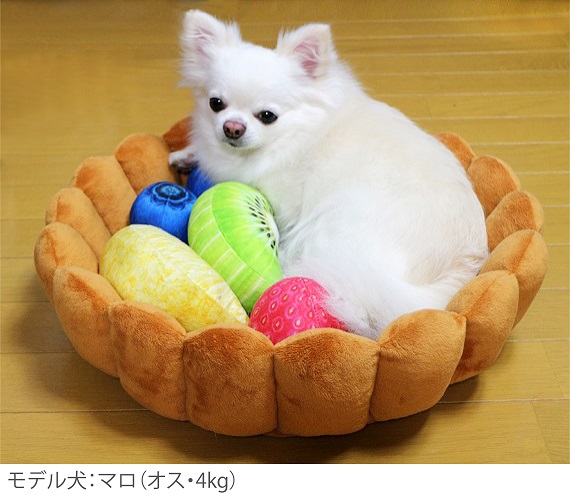 tart_dog1_resize.jpg