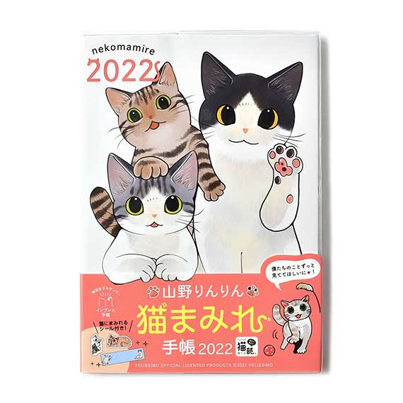 techo2022_rin_top_re.jpg