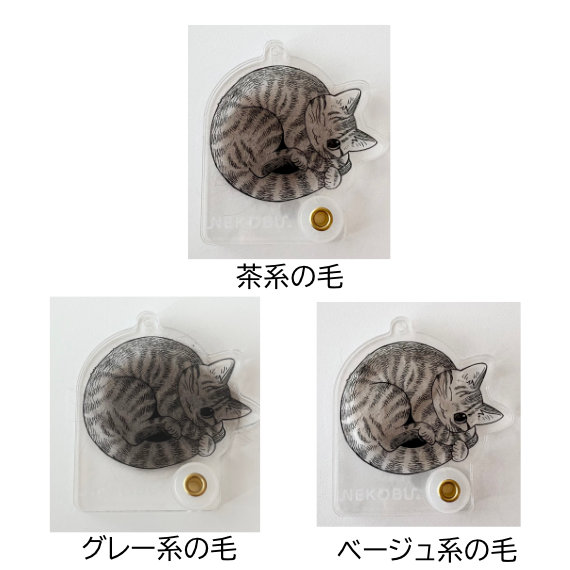 torahikaku.jpg