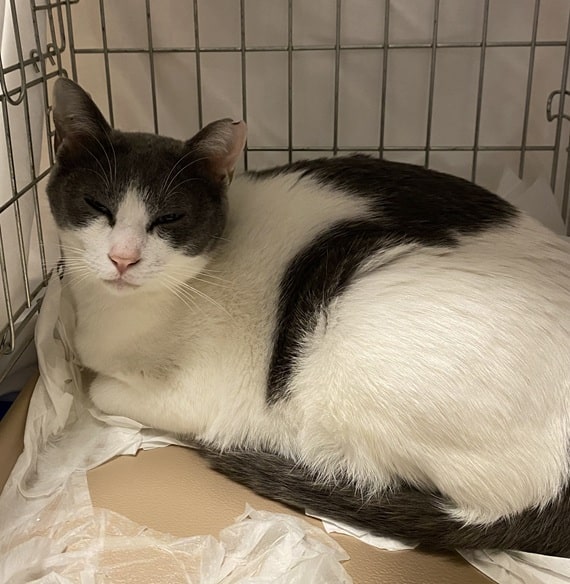 yamaguchi  hikariTNR-250620-2  -min.jpg