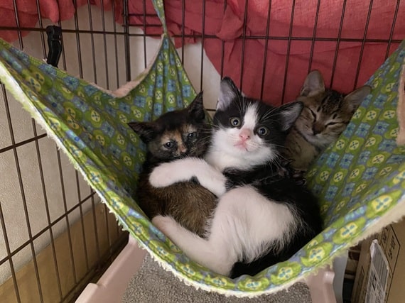 yamaguchi  hikariTNR-250620-3  -min.jpg