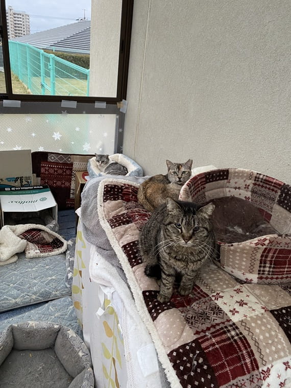 yamaguchi  hikariTNR-250620-4  -min.jpg