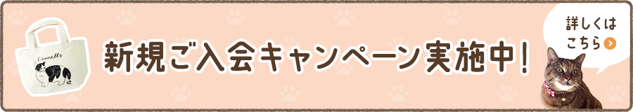 新規ご入会キャンペーン実施中！[詳しくはこちら]