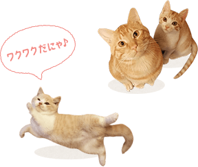 フェリシモ猫部visaカード フェリシモ猫部