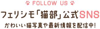 FOLLOW US フェリシモ猫部公式SNS かわいい猫写真や最新情報を配信中！