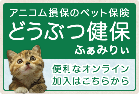 アニコム損保のペット保険 どうぶつ健保ふぁみりぃ 便利なオンライン加入はこちらから