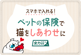 アニマルコミュニケーター 岩津さんに聞いてみよう 里子に出す時の巻 フェリシモ猫部 アニマルコミュニケーター 岩津さんに聞いてみよう 里子に出す時の巻 フェリシモ猫部