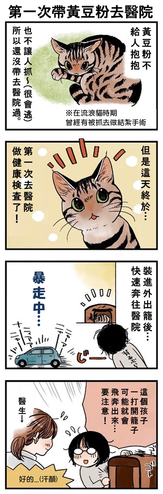 ★山野りんりん猫まみれ漫画★155話-1.jpg