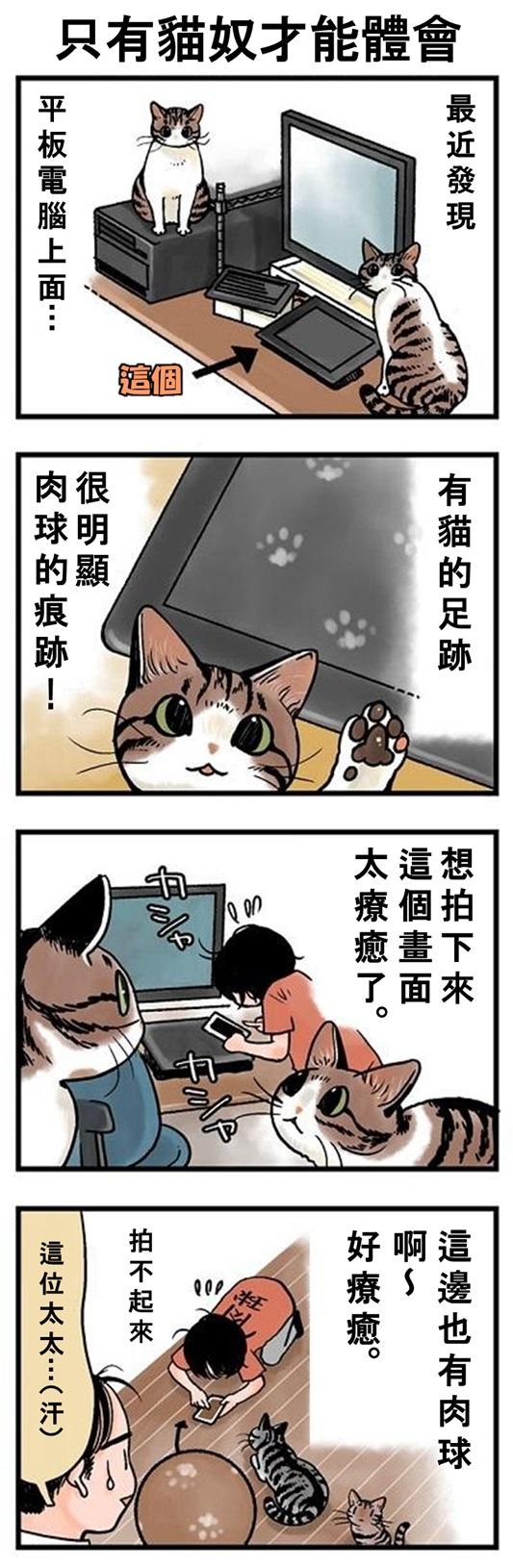 ★山野りんりん猫まみれ漫画★ 第120話 2.jpg