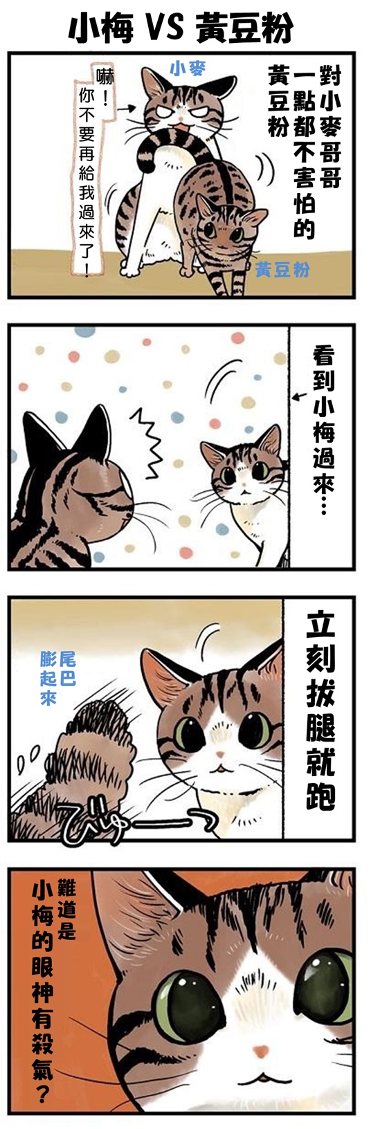 ★山野りんりん猫まみれ漫画★ 第124話 1.jpg