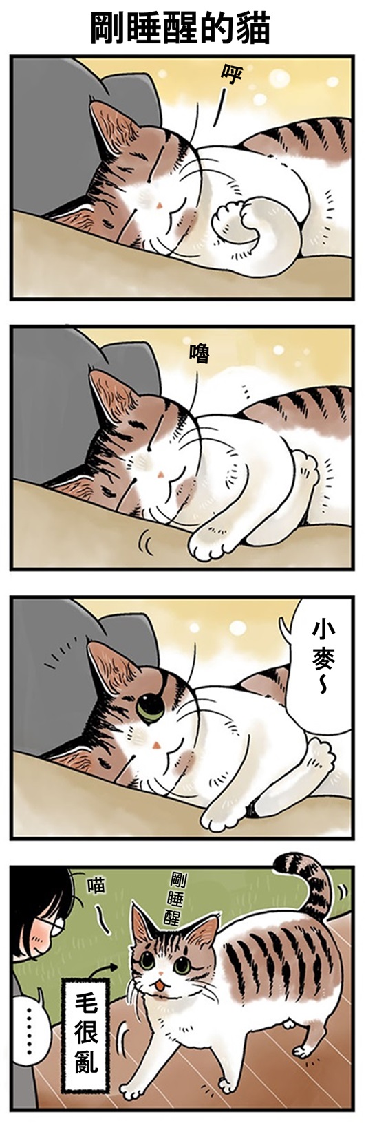 ★山野りんりん猫まみれ漫画★153話-1.jpg