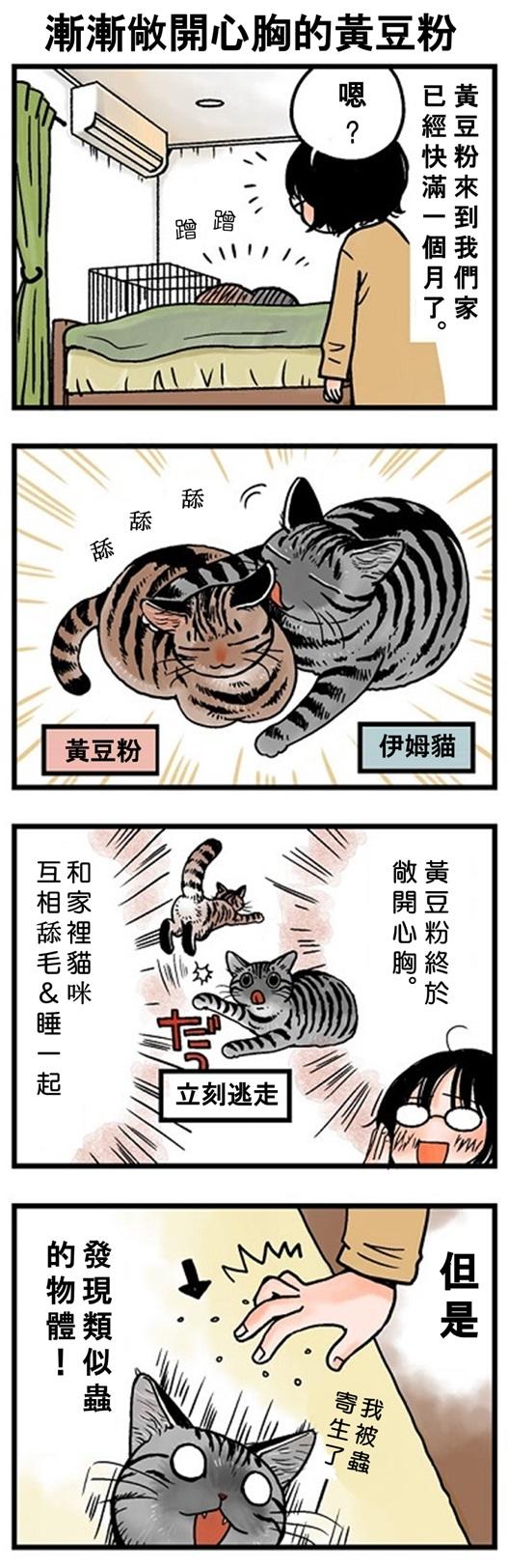 ★山野りんりん猫まみれ漫画★104話-1.jpg