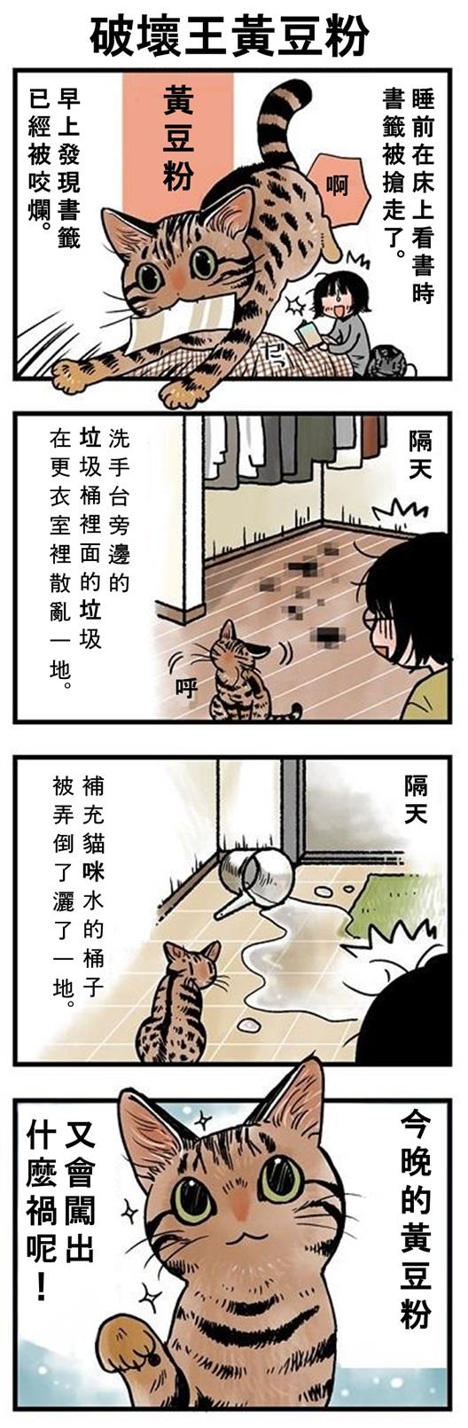 ★山野りんりん猫まみれ漫画★113話-1.jpg