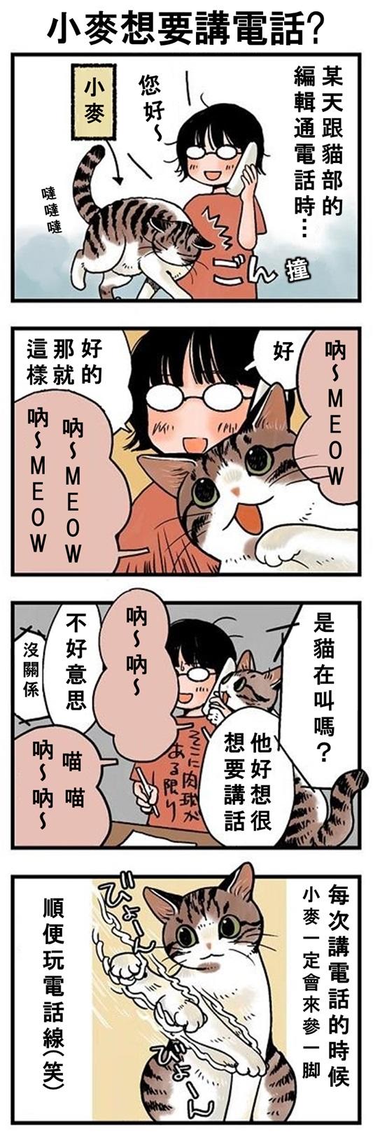 ★山野りんりん猫まみれ漫画★ 第120話 1.jpg