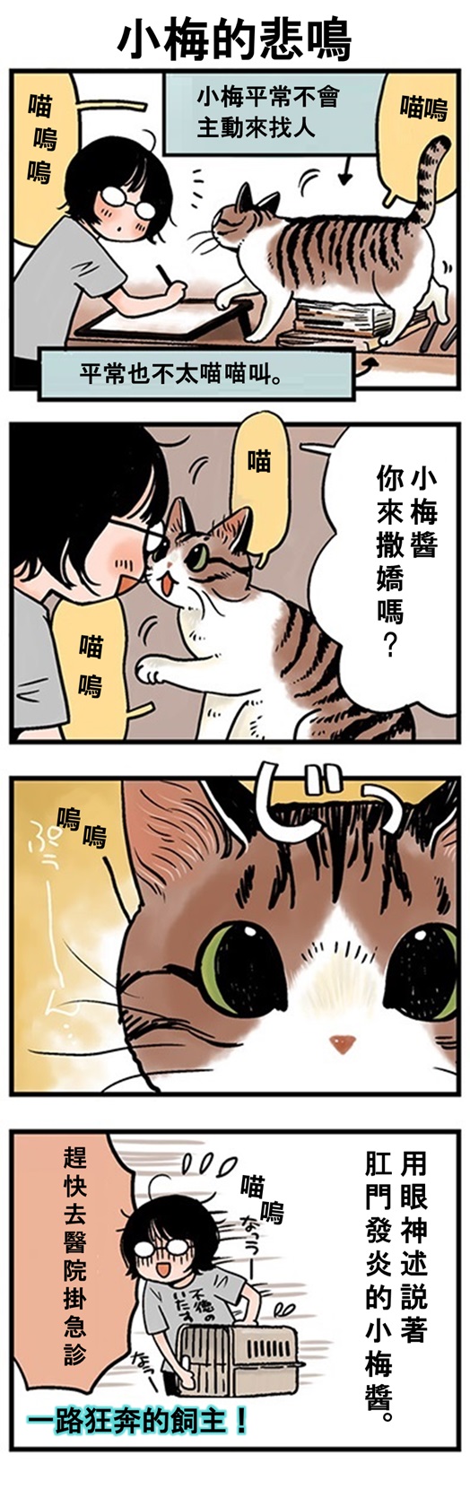 ★山野りんりん猫まみれ漫画★ 第133話 1.jpg