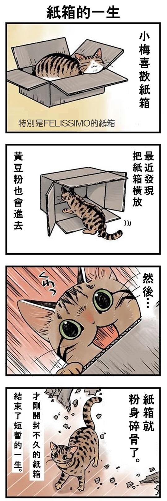 ★山野りんりん猫まみれ漫画★ 第119話 2.jpg