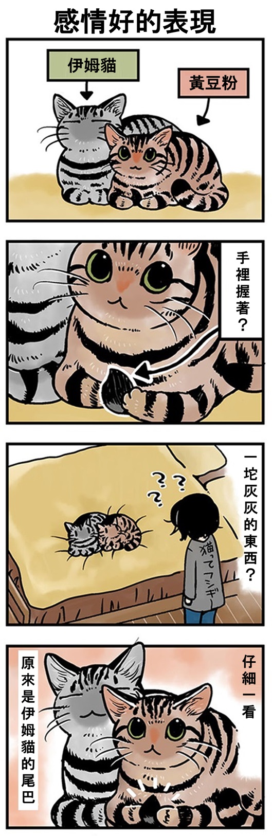 ★山野りんりん猫まみれ漫画★149話-1.jpg