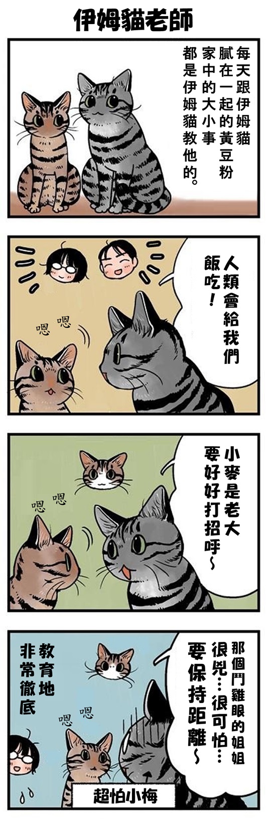 ★山野りんりん猫まみれ漫画★ 第124話 2.jpg