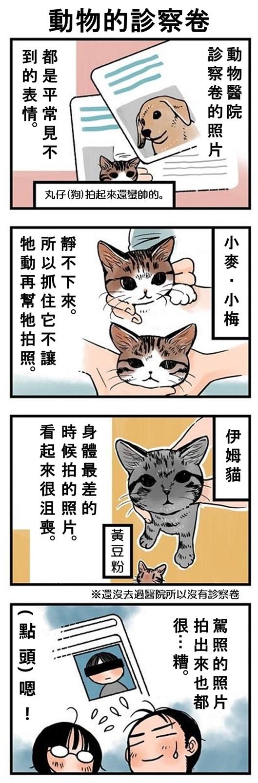 ★山野りんりん猫まみれ漫画★112話-2.jpg