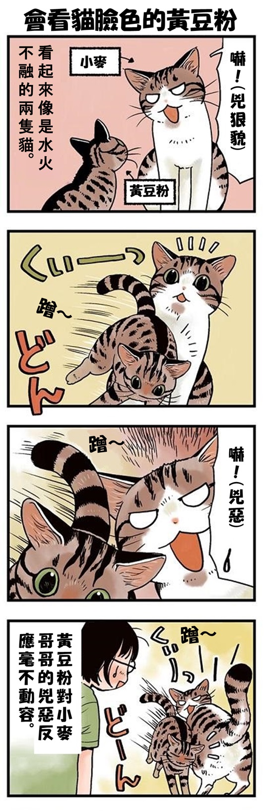 ★山野りんりん猫まみれ漫画★ 第123話 1.jpg