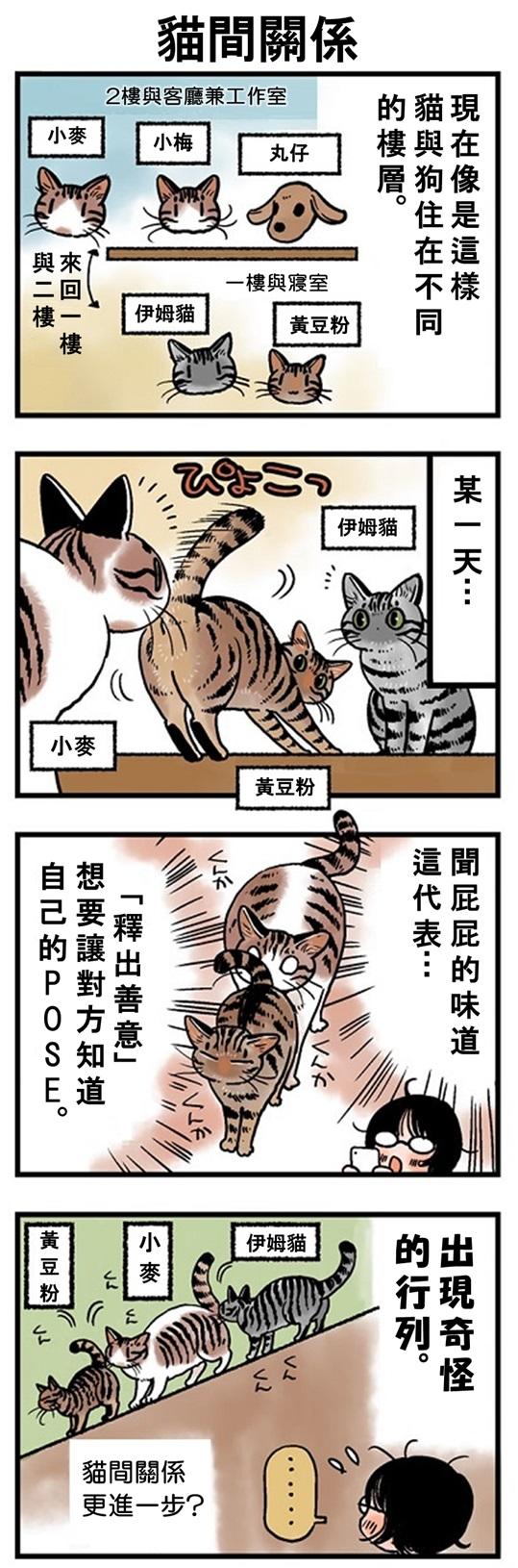 ★山野りんりん猫まみれ漫画★107話-1.jpg