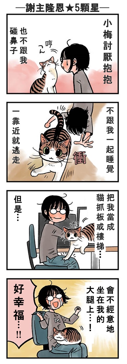 ★山野りんりん猫まみれ漫画★32話-2.jpg