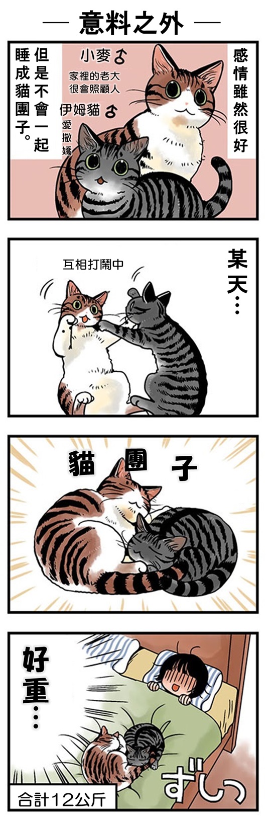 ★山野りんりん猫まみれ漫画★61話-1.jpg
