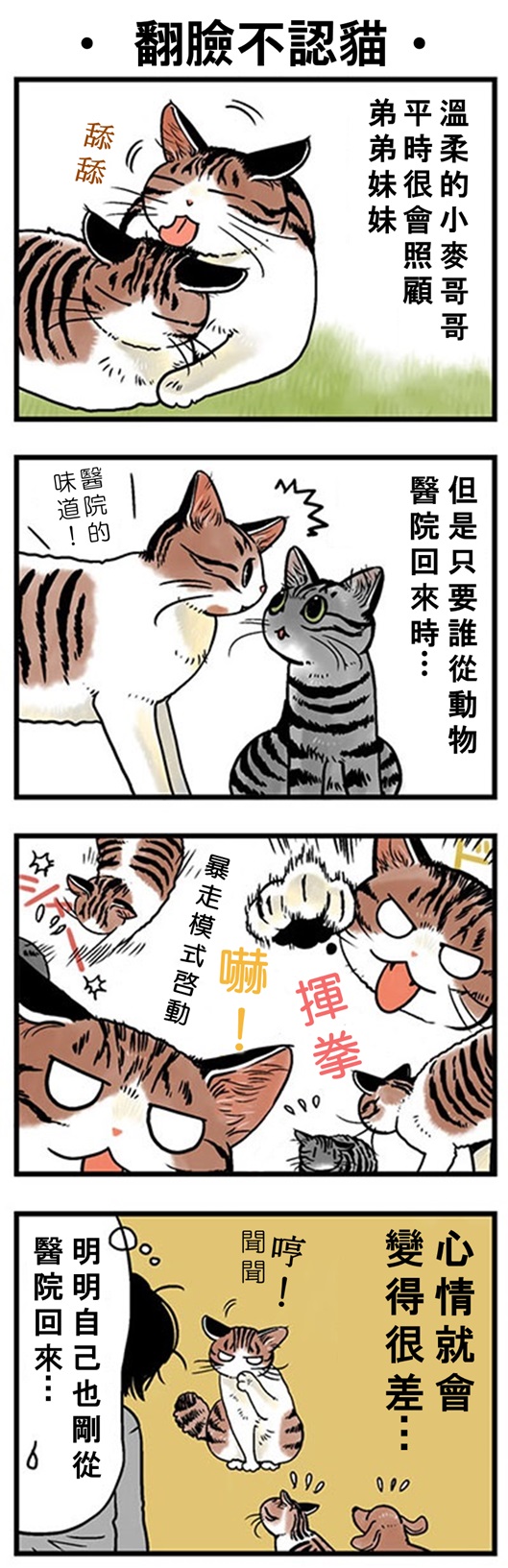 ★山野りんりん猫まみれ漫画★63話-1.jpg