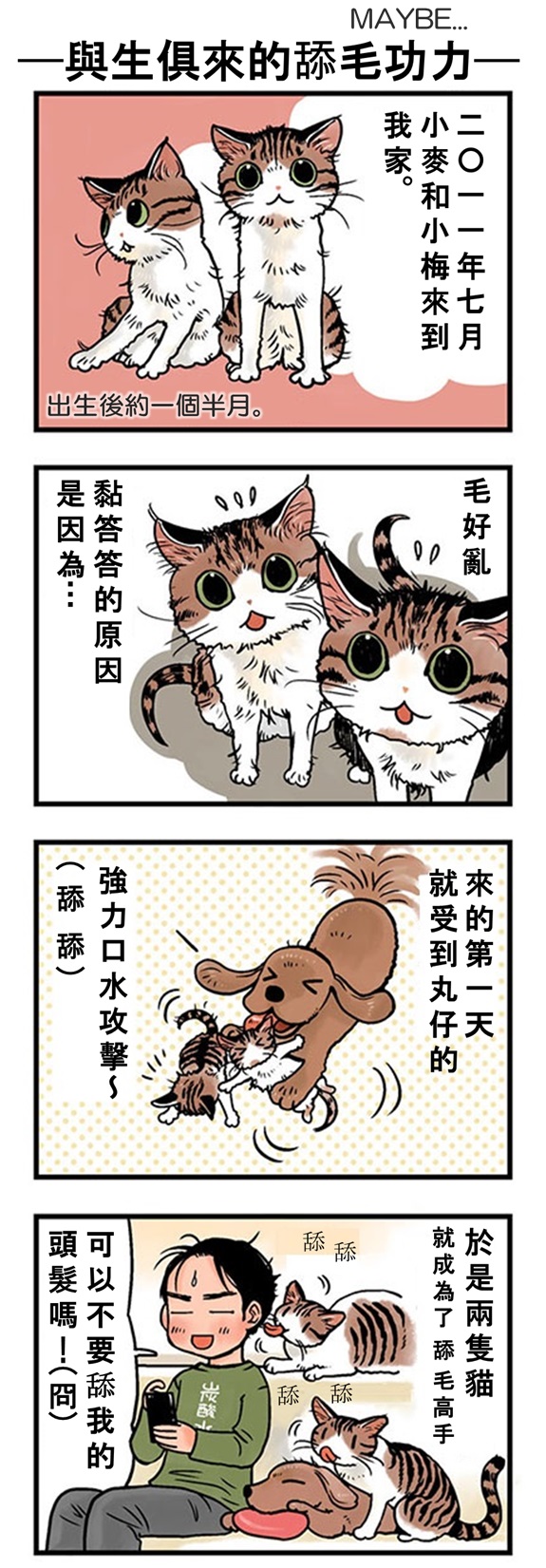 ★山野りんりん猫まみれ漫画★64話-1.jpg