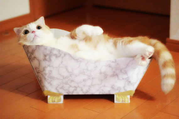 猫商品　風呂1.jpg
