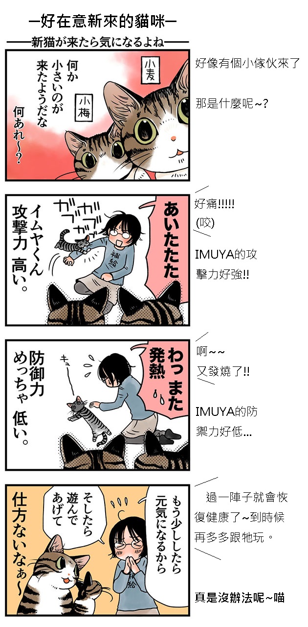 貓漫畫11話-2jpg.jpg