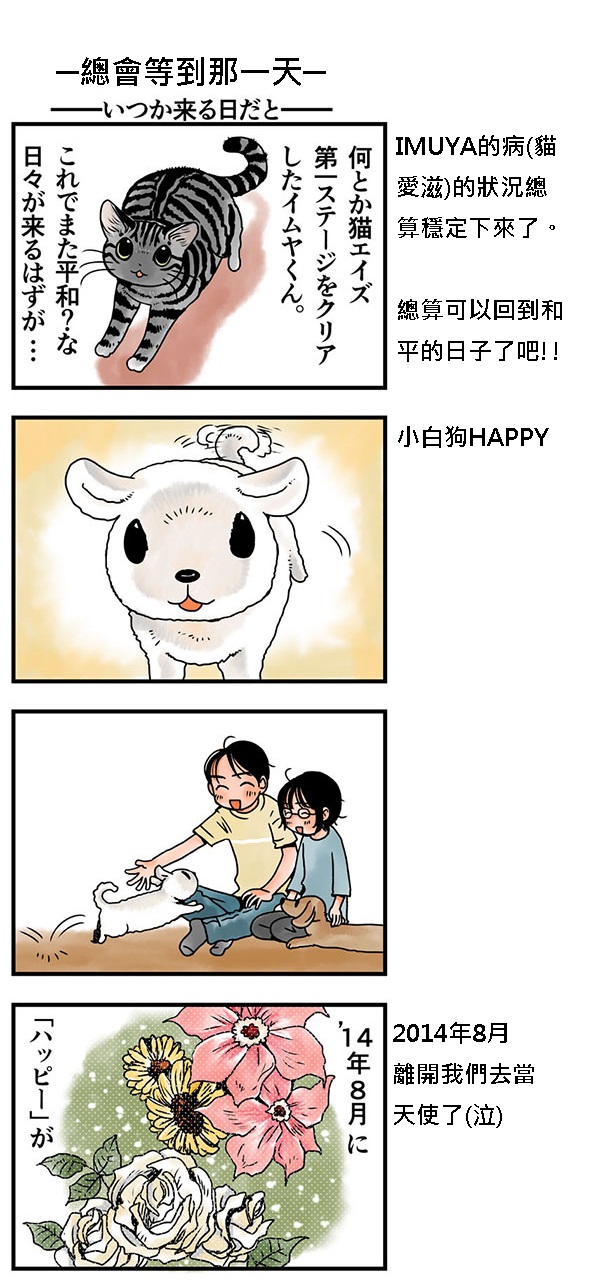 貓漫畫12話-1jpg.jpg