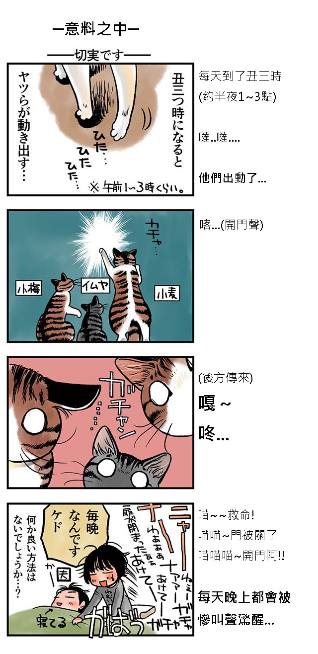 貓漫畫24話-2.jpg